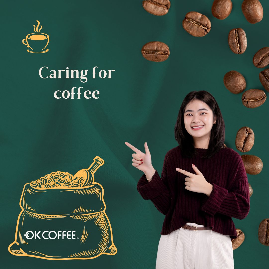 نگهداری از قهوه/ چگونه طعم آن را تازه نگه داریم؟